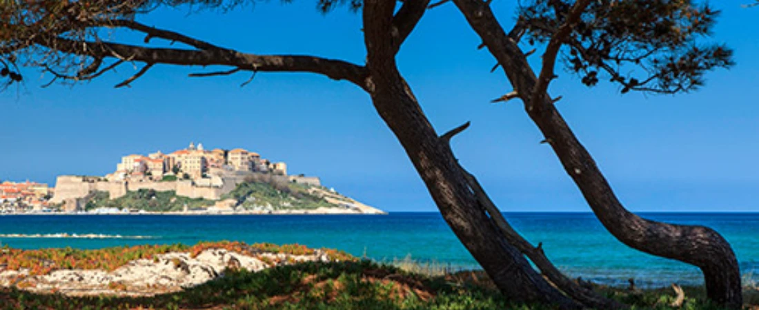 Calvi – Corsican Paradise: A Complete Travel Guide